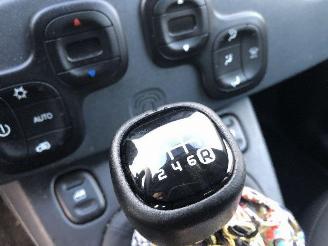 Fiat Panda 1.0 CITY CROSS picture 14