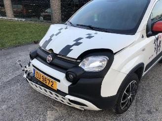Fiat Panda 1.0 CITY CROSS picture 12