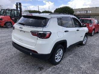 Purkuautot passenger cars Jeep Compass 2.4   MULTI AIR 2021/2