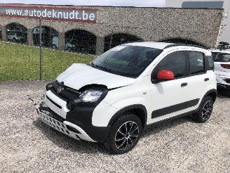 Fiat Panda 1.0 CITY CROSS picture 23