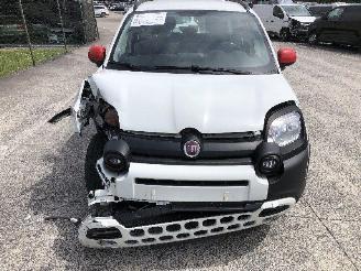 Fiat Panda 1.0 CITY CROSS picture 10