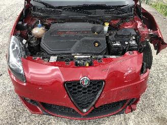Alfa Romeo Giulietta 1.6  JTDm picture 14
