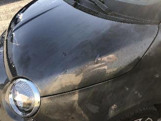 Fiat 500 1.2 GT picture 17