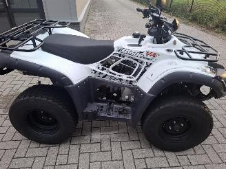 CFMoto  tgb blade 325 picture 6