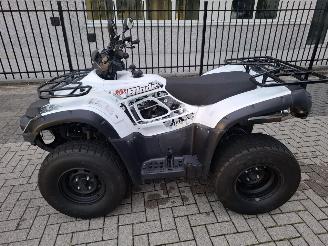 skadebil motor CFMoto  tgb blade 325 2017/1