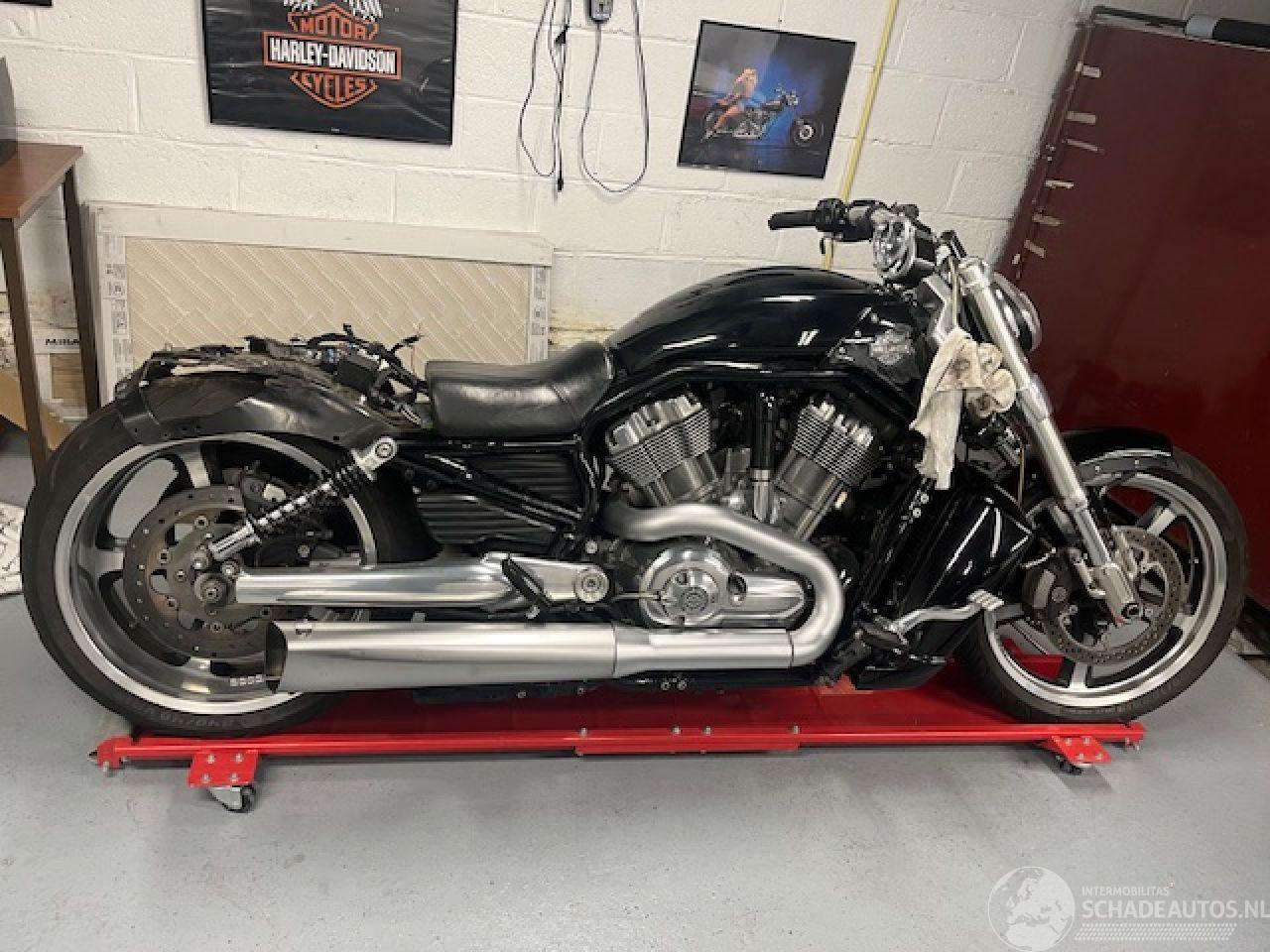 Harley-Davidson V-Rod V rod muscle