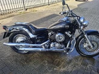 Yamaha XVS 650 dragstar picture 2