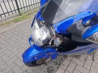 Honda CBR 1100 black bird picture 12