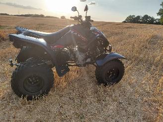 Kymco  300 maxxer picture 6