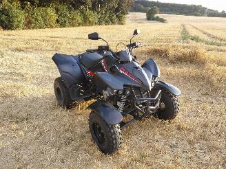 skadebil motor Kymco  300 maxxer 2023/1