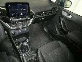 Ford Fiesta BUSINESS picture 10