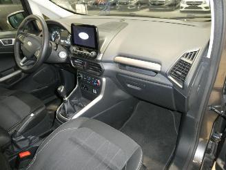 Ford EcoSport COOL&CONNECT picture 14