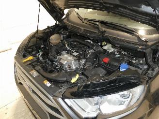 Ford EcoSport COOL&CONNECT picture 24