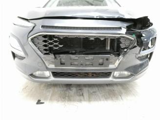 Hyundai Kona KAUAI picture 3