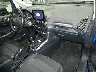 Ford EcoSport 1.0 picture 13