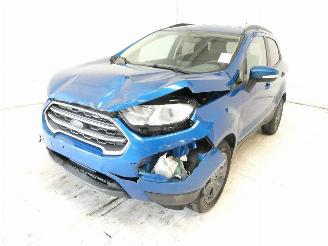 Ford EcoSport 1.0 picture 5