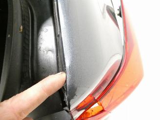 Dacia Logan RAINBOW picture 17