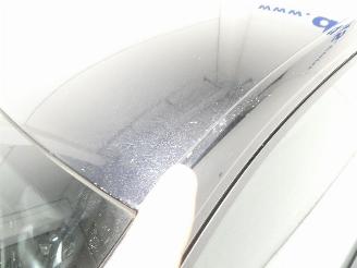 Volkswagen Polo GTI picture 9