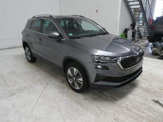 Skoda Karoq STYLE picture 12
