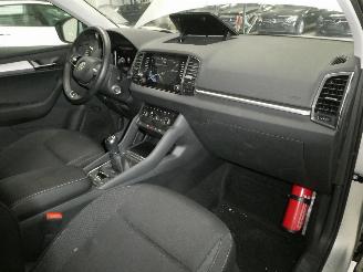 Skoda Karoq AMBITION picture 9