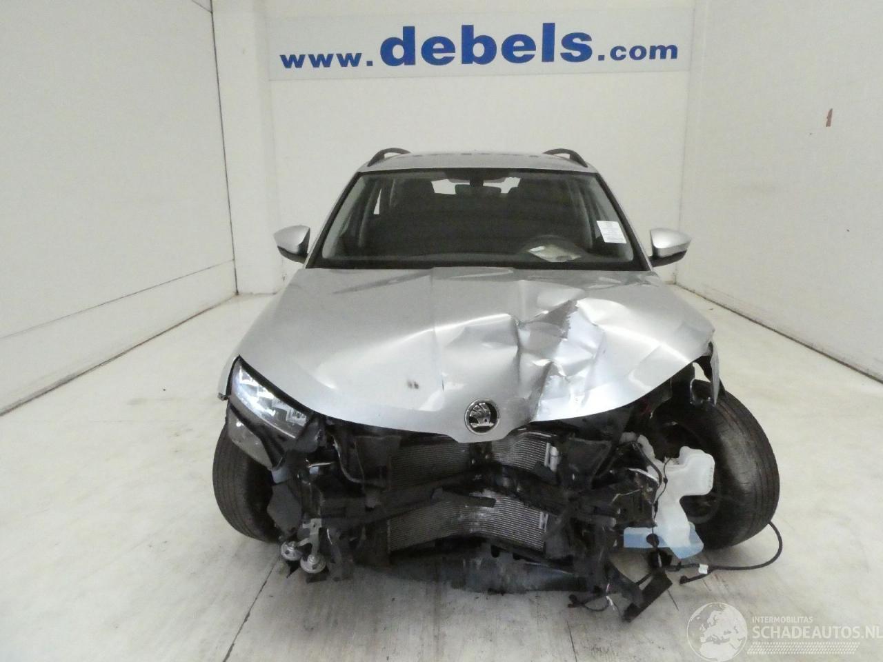 Skoda Karoq AMBITION