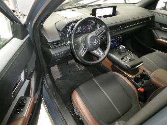 Mazda MX-30 0 picture 17