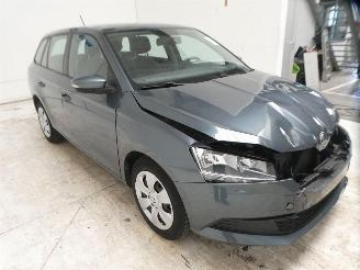 Skoda Fabia ACTIVE picture 17