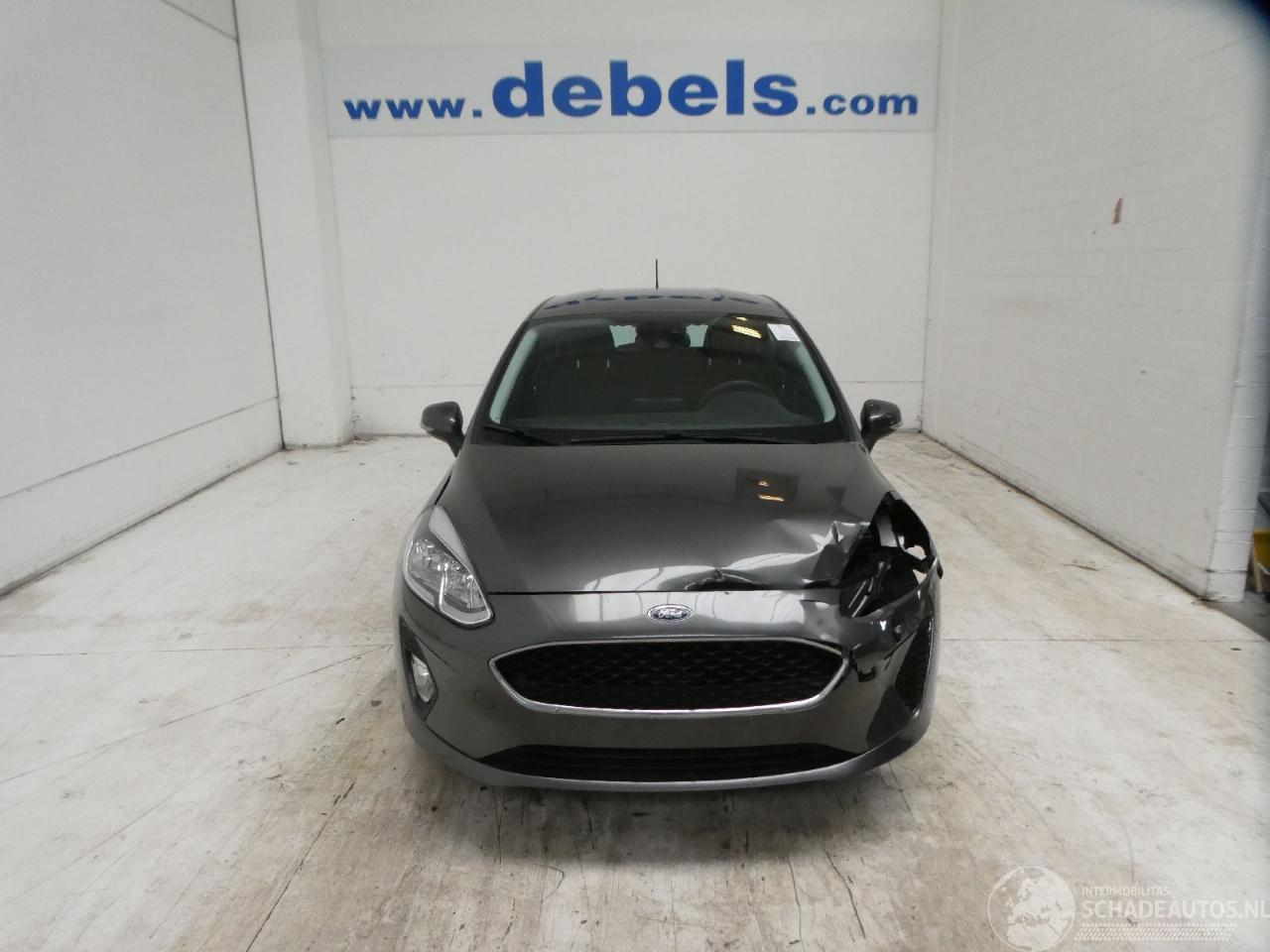 Ford Fiesta BUSINESS