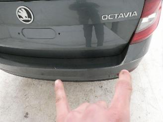 Skoda Octavia AMBITION picture 12