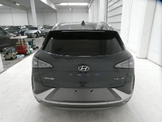 Hyundai Nexo  picture 6