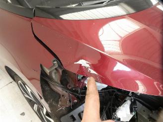 Renault Scenic IV BOSE picture 9