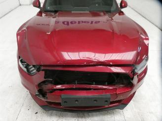 Ford Mustang  picture 4