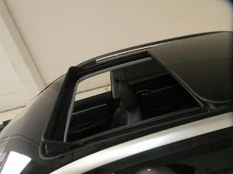MG ZS LUXURY picture 25