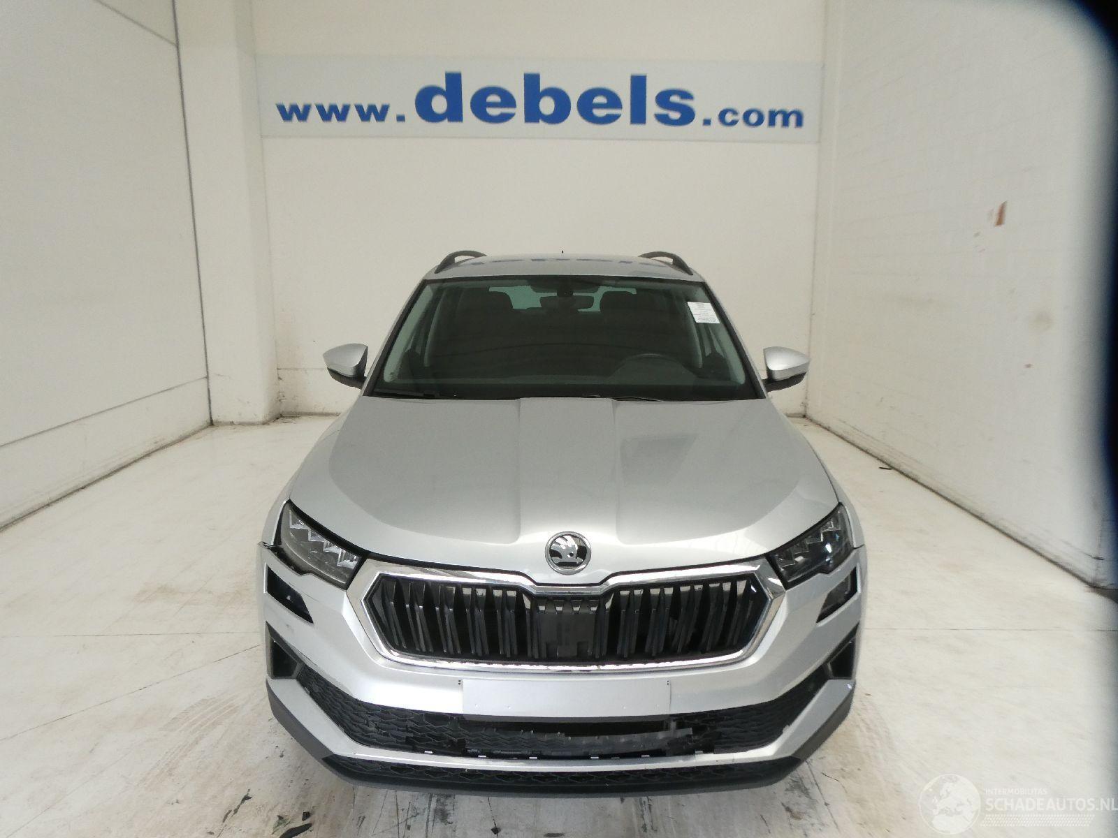 Skoda Karoq AMBITION