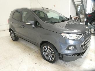 Ford EcoSport  picture 8