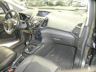 Ford EcoSport  picture 11