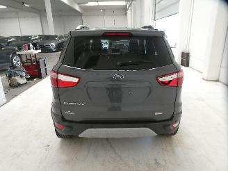 Ford EcoSport  picture 6