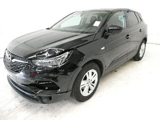 Opel Grandland  picture 3