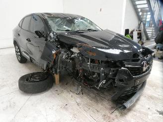 Renault Arkana  picture 18