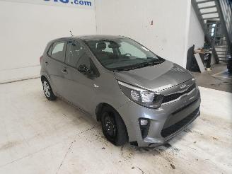 Kia Picanto  picture 12