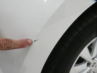 Seat Ibiza  picture 4