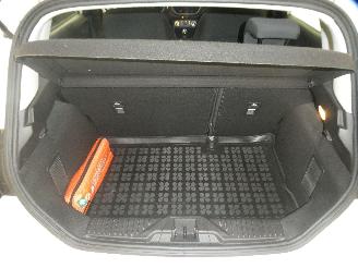 Ford Fiesta  picture 14