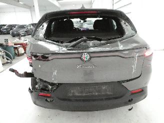 Alfa Romeo Tonale 1.6D picture 8