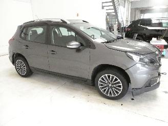 Peugeot 2008 ACTIVE picture 7