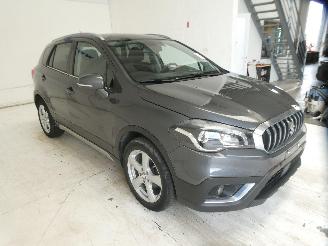 Suzuki SX4 S-CROSS picture 11