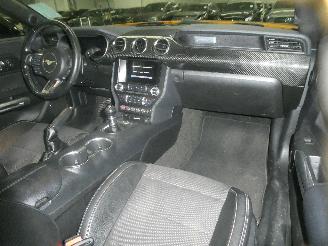 Ford Mustang  picture 13