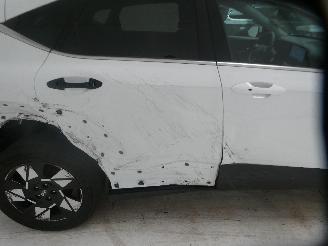 Hyundai Kona PREMIUM SKY picture 15