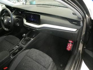 Skoda Octavia AMBITION picture 13