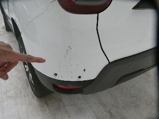 Dacia Duster 1.3 TCE picture 8