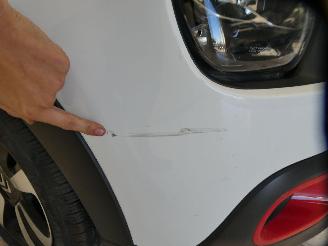 Citroën C3 III SHINE picture 15
